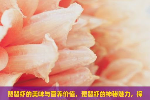琵琶虾的美味与营养价值，琵琶虾的神秘魅力，探索海洋中的美味佳肴