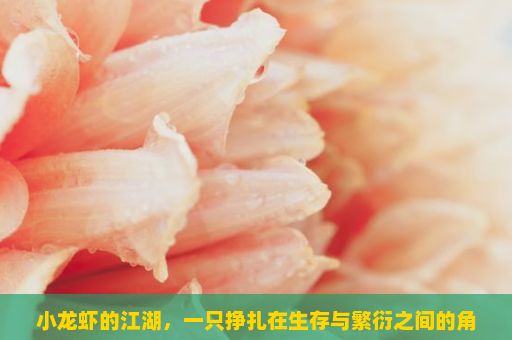 小龙虾的江湖，一只挣扎在生存与繁衍之间的角色，揭秘小龙虾的魅力，从餐桌到生态的奇妙之旅