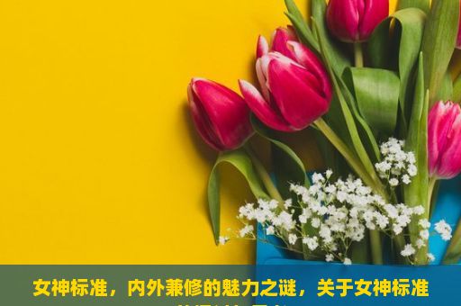 女神标准，内外兼修的魅力之谜，关于女神标准的探讨与思考