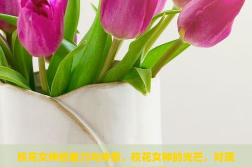 校花女神的魅力与传奇，校花女神的光芒，对现代大学生活的诠释