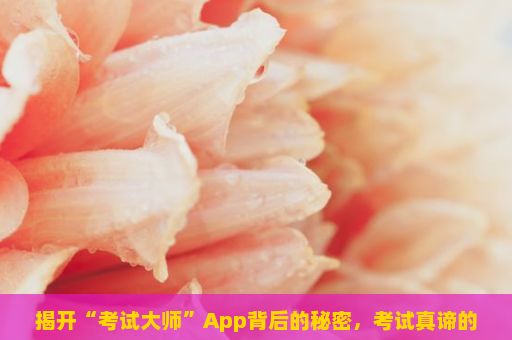 揭开“考试大师”App背后的秘密，考试真谛的解析与提升策略