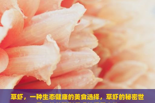 草虾，一种生态健康的美食选择，草虾的秘密世界，从养殖到餐桌的探索之旅