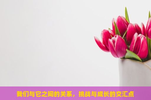 我们与它之间的关系，挑战与成长的交汇点