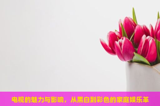 电视的魅力与影响，从黑白到彩色的家庭娱乐革命