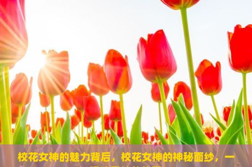 校花女神的魅力背后，校花女神的神秘面纱，一场追寻她的旅程