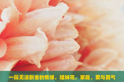 一段无法割舍的情缘，姐妹花，家庭、爱与勇气的传奇