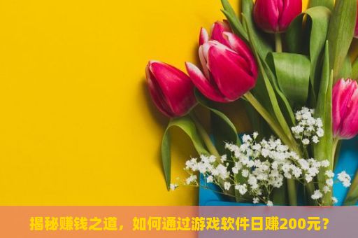 揭秘赚钱之道，如何通过游戏软件日赚200元？