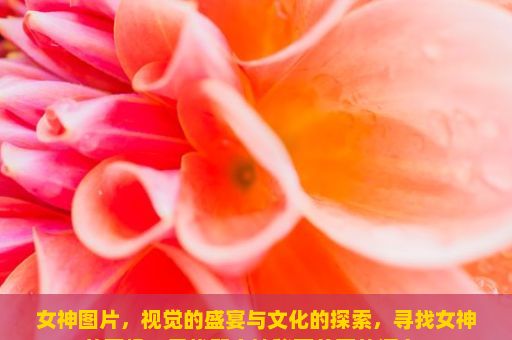 女神图片，视觉的盛宴与文化的探索，寻找女神的图像，寻找那个神秘而美丽的源泉？