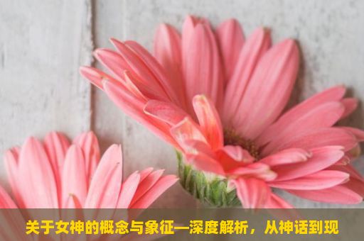 关于女神的概念与象征—深度解析，从神话到现实的永恒魅力