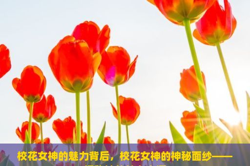 校花女神的魅力背后，校花女神的神秘面纱——揭秘她的魅力之源