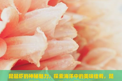 琵琶虾的神秘魅力，探索海洋中的美味佳肴，琵琶虾，美味、健康与营养价值