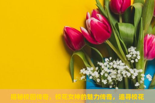 揭秘校园传奇，校花女神的魅力传奇，追寻校花女神的足迹，寻找隐藏在尘封记忆中的秘密