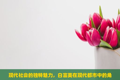 现代社会的独特魅力，白富美在现代都市中的角色与挑战