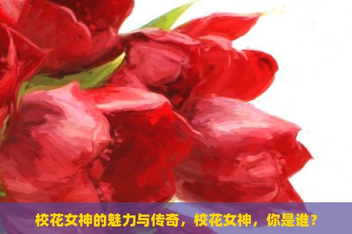 校花女神的魅力与传奇，校花女神，你是谁？