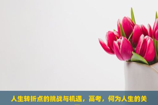 人生转折点的挑战与机遇，高考，何为人生的关键？