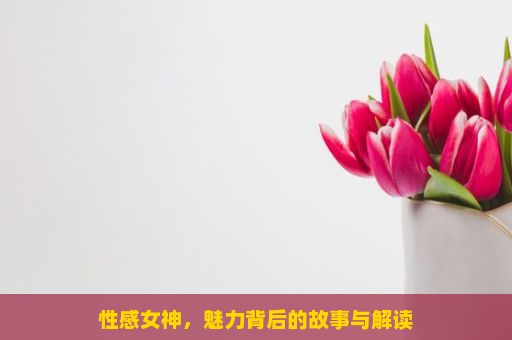 性感女神，魅力背后的故事与解读