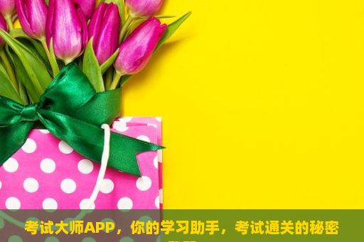 考试大师APP，你的学习助手，考试通关的秘密武器