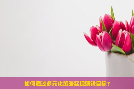 如何通过多元化策略实现赚钱目标？