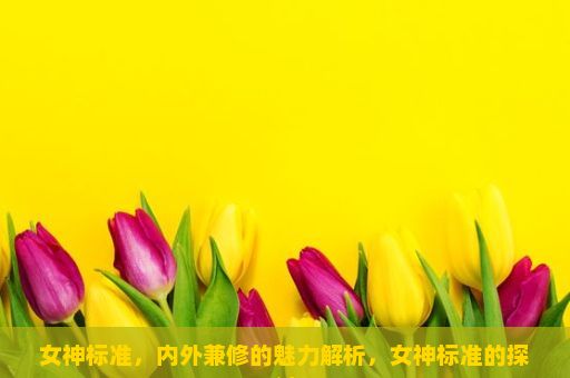 女神标准，内外兼修的魅力解析，女神标准的探讨