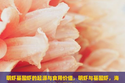 明虾基围虾的起源与食用价值，明虾与基围虾，海味佳肴的双重魅力