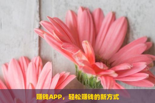 赚钱APP，轻松赚钱的新方式