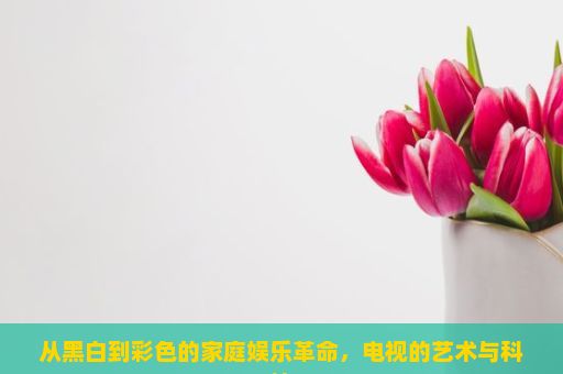 从黑白到彩色的家庭娱乐革命，电视的艺术与科技