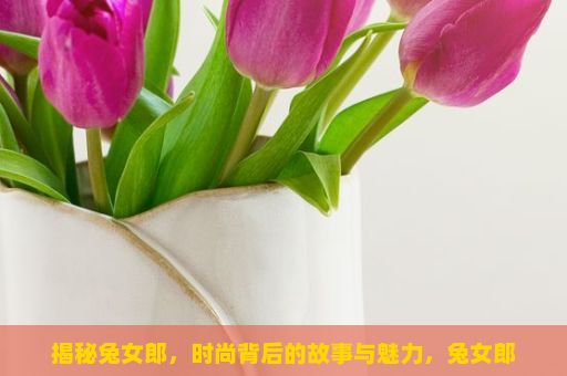 揭秘兔女郎，时尚背后的故事与魅力，兔女郎