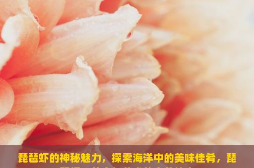 琵琶虾的神秘魅力，探索海洋中的美味佳肴，琵琶虾，美食与艺术的完美结合