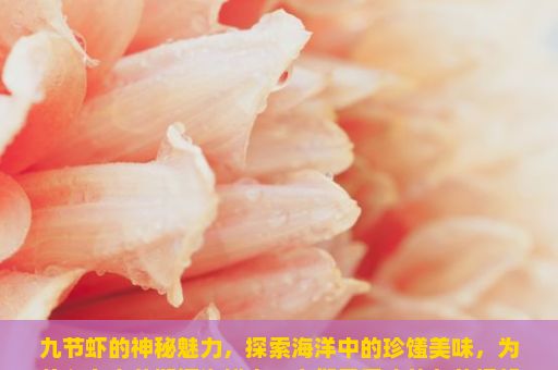 九节虾的神秘魅力，探索海洋中的珍馐美味，为什么在春节期间海鲜中，人们最爱吃的九节虾却很少见？