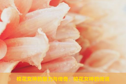 校花女神的魅力与传奇，校花女神的传说