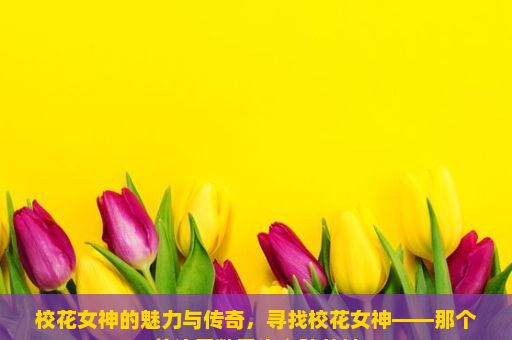 校花女神的魅力与传奇，寻找校花女神——那个曾让无数男生心碎的她