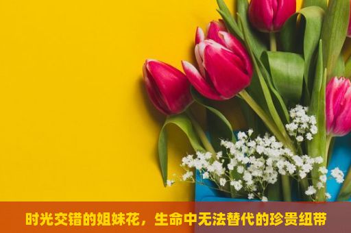 时光交错的姐妹花，生命中无法替代的珍贵纽带