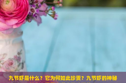 九节虾是什么？它为何如此珍贵？九节虾的神秘魅力，探索海洋中的珍馐美味