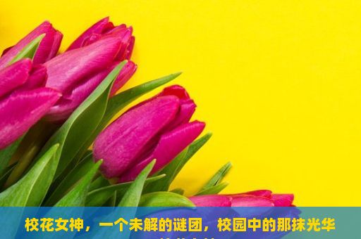 校花女神，一个未解的谜团，校园中的那抹光华—校花女神