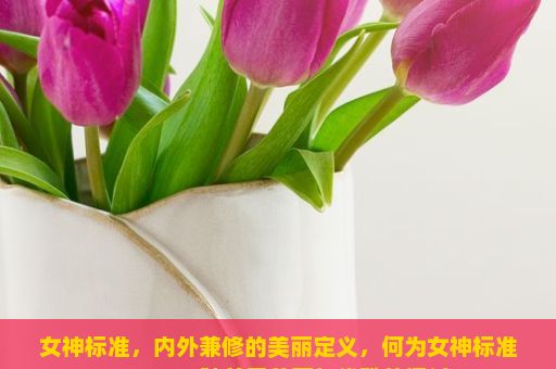 女神标准，内外兼修的美丽定义，何为女神标准？——一种关于美丽与优雅的探讨