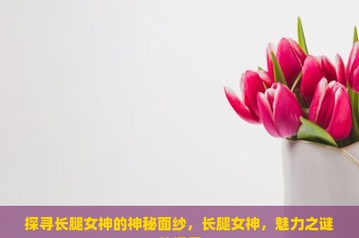 探寻长腿女神的神秘面纱，长腿女神，魅力之谜的探索