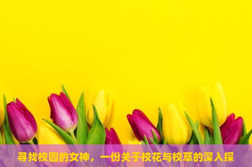 寻找校园的女神，一份关于校花与校草的深入探讨，校花女神的魅力与传奇