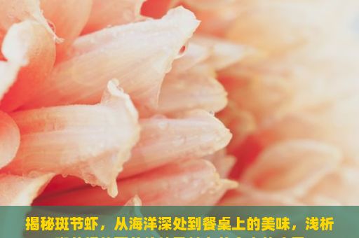 揭秘斑节虾，从海洋深处到餐桌上的美味，浅析斑节虾的营养价值及其在美食中的应用