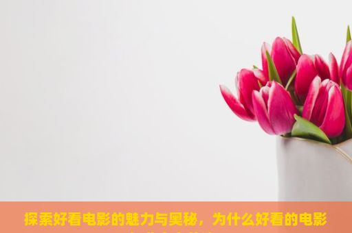 探索好看电影的魅力与奥秘，为什么好看的电影如此令人着迷？