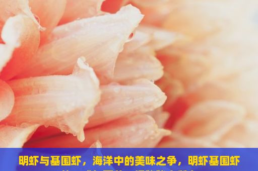 明虾与基围虾，海洋中的美味之争，明虾基围虾的口感与营养，揭秘秘密所在