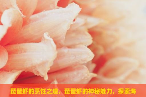 琵琶虾的烹饪之道，琵琶虾的神秘魅力，探索海洋中的美味宝藏