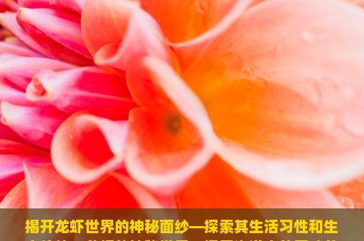 揭开龙虾世界的神秘面纱—探索其生活习性和生态价值，龙虾的神秘世界，探索海洋中的巨味美食