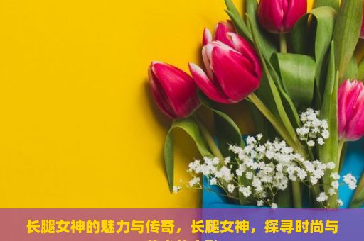 长腿女神的魅力与传奇，长腿女神，探寻时尚与艺术的交融