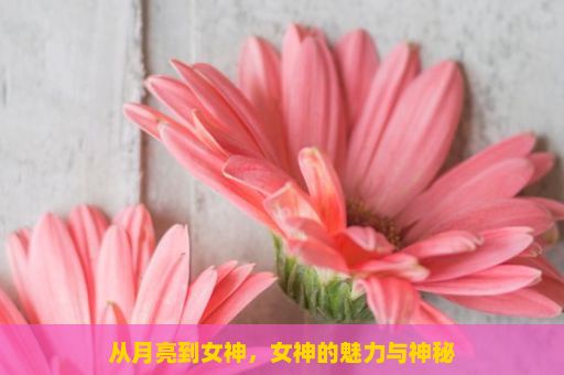 从月亮到女神，女神的魅力与神秘