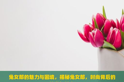 兔女郎的魅力与困境，揭秘兔女郎，时尚背后的故事与魅力