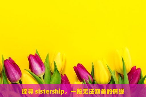 探寻 sistership，一段无法割舍的情缘