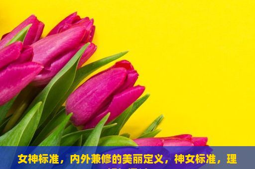 女神标准，内外兼修的美丽定义，神女标准，理解与探讨