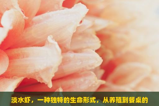淡水虾，一种独特的生命形式，从养殖到餐桌的奇妙之旅