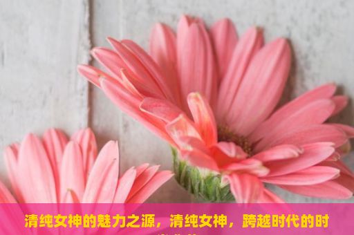 清纯女神的魅力之源，清纯女神，跨越时代的时尚典范