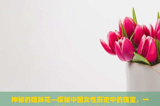 神秘的姐妹花—探秘中国女性历史中的瑰宝，一份无法割舍的纽带